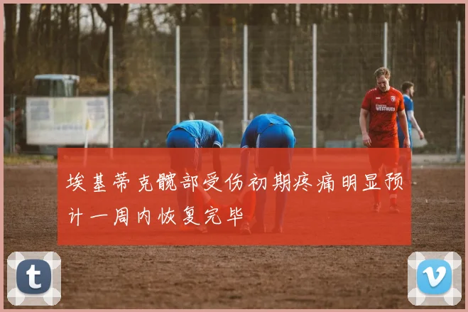 埃基蒂克髋部受伤初期疼痛明显预计一周内恢复完毕